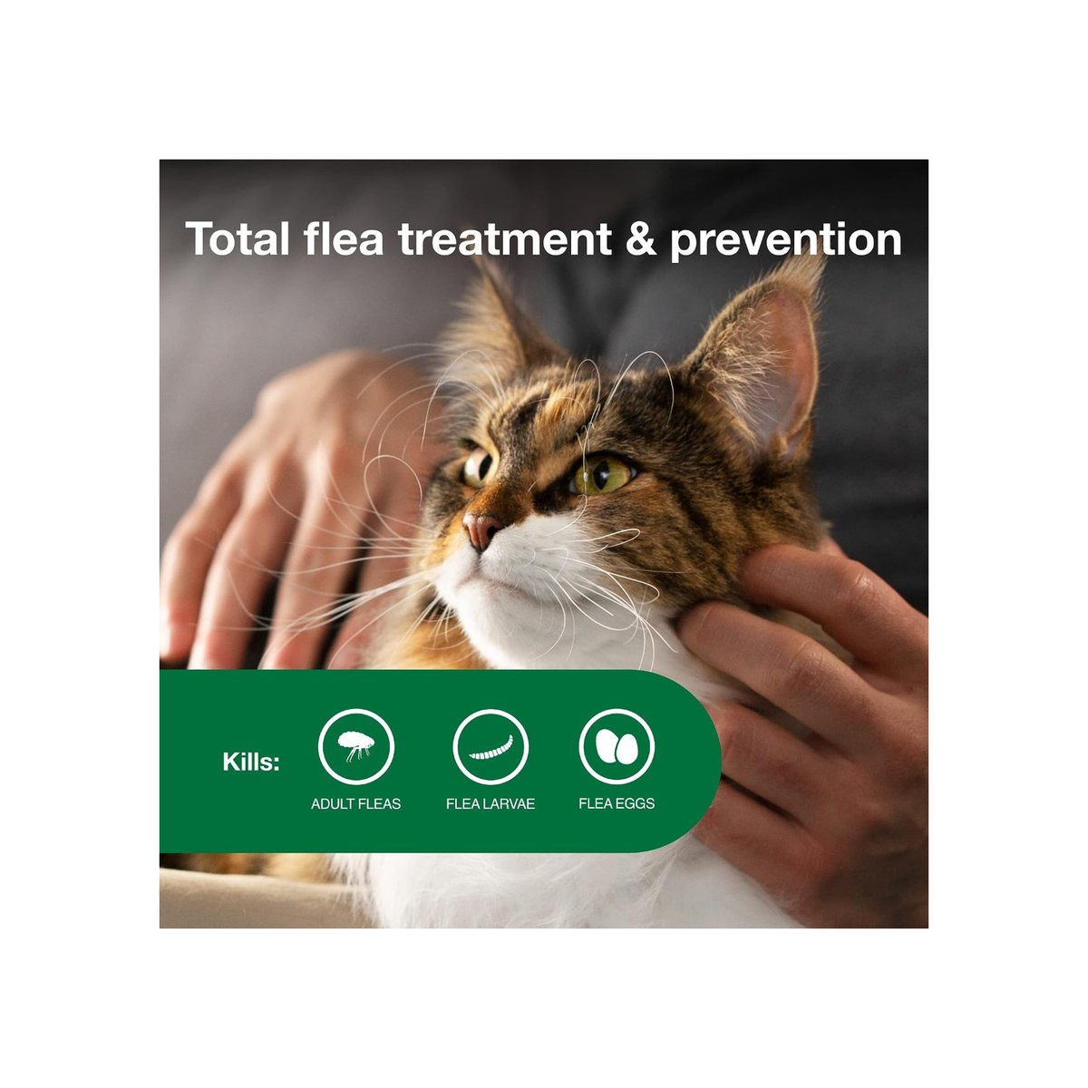Advantage II Large Cat Flea Treatment – 4-Month Supply