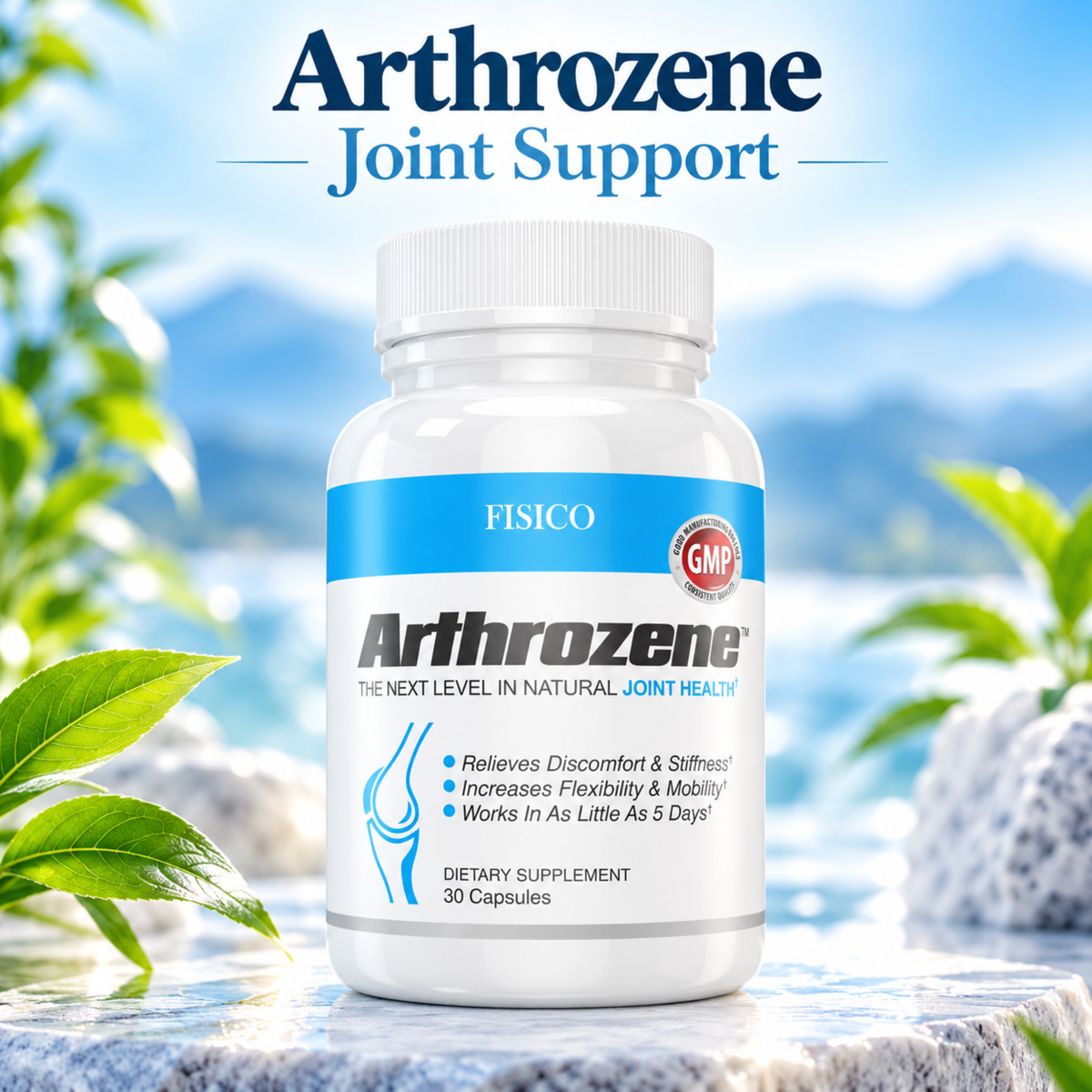 Fisico Arthrozene Joint Support – 30 Capsules