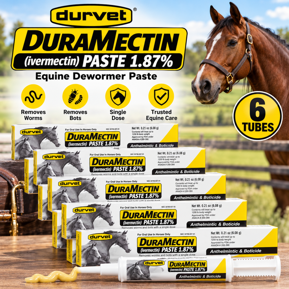 Durvet Duramectin Equine Wormer Paste, 6 Tubes