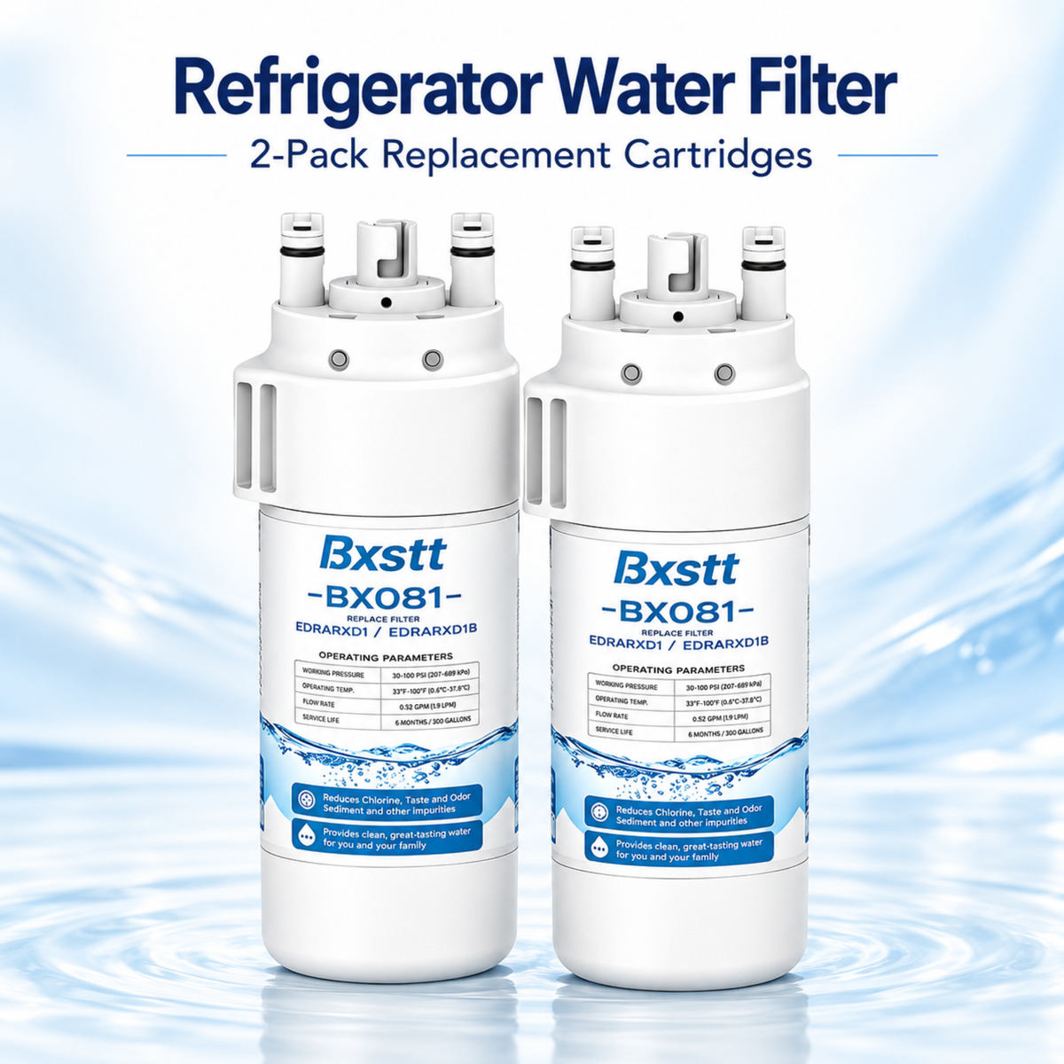 Bxstt BXO81 Water Filter for Everydrop A EDRARXD1 2-Pack