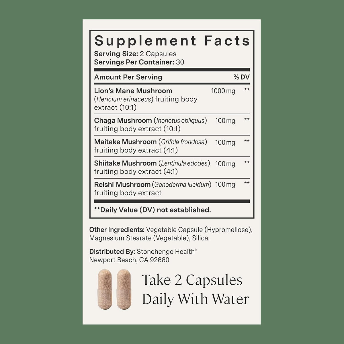 Dynamic Mushrooms – Lion's Mane Brain & Focus