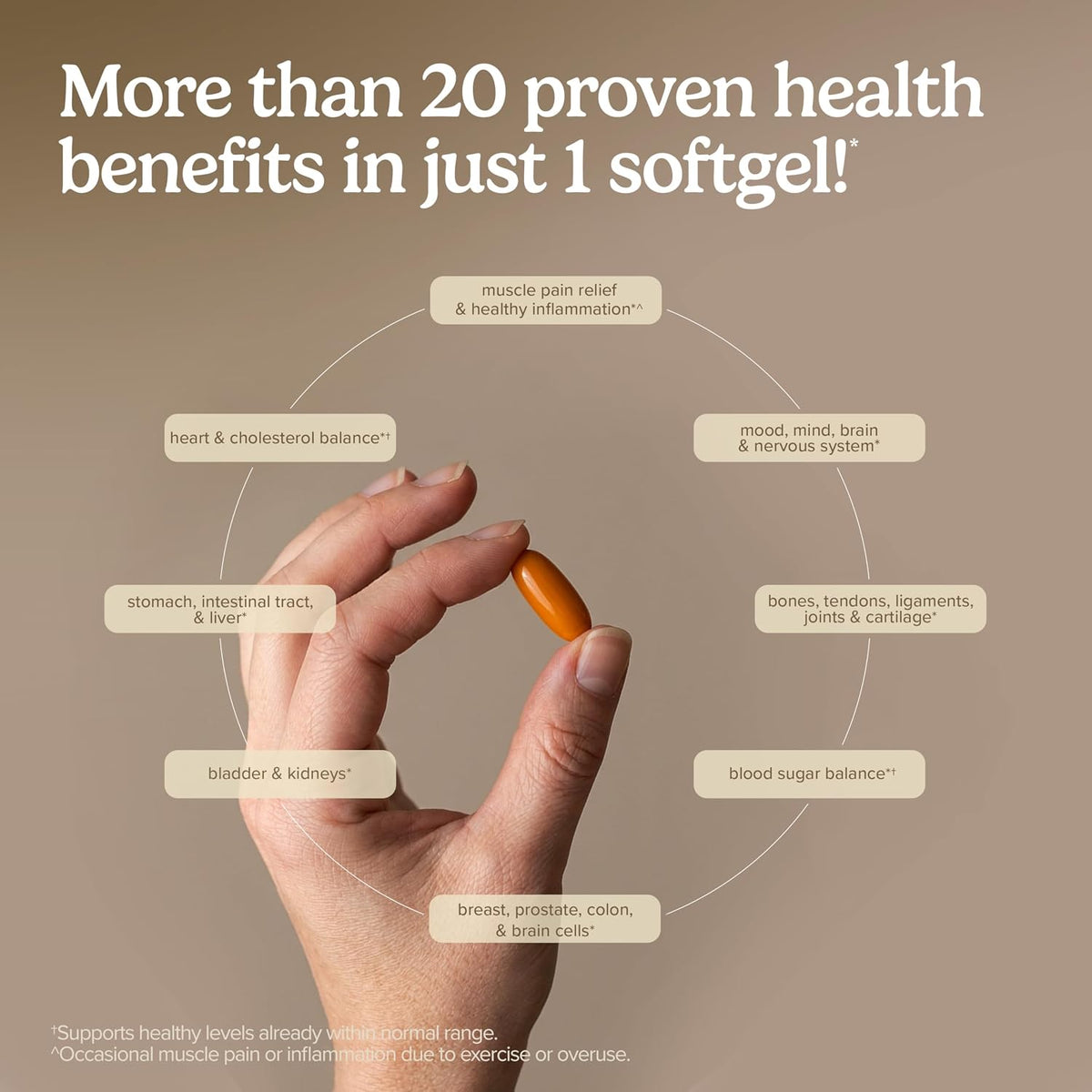 Terry Naturally CuraMed 750mg – 30 Softgels
