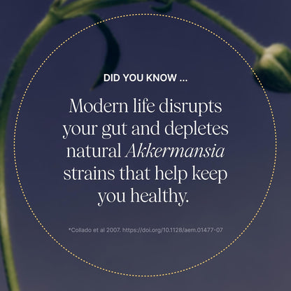 Pendulum Akkermansia Probiotic with Prebiotic Fiber