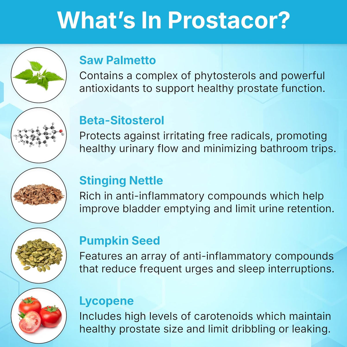 Prostacor Prostate Support – 30 Capsules