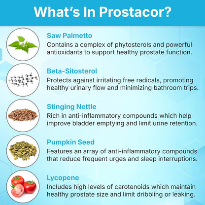 Prostacor Prostate Support – 30 Capsules