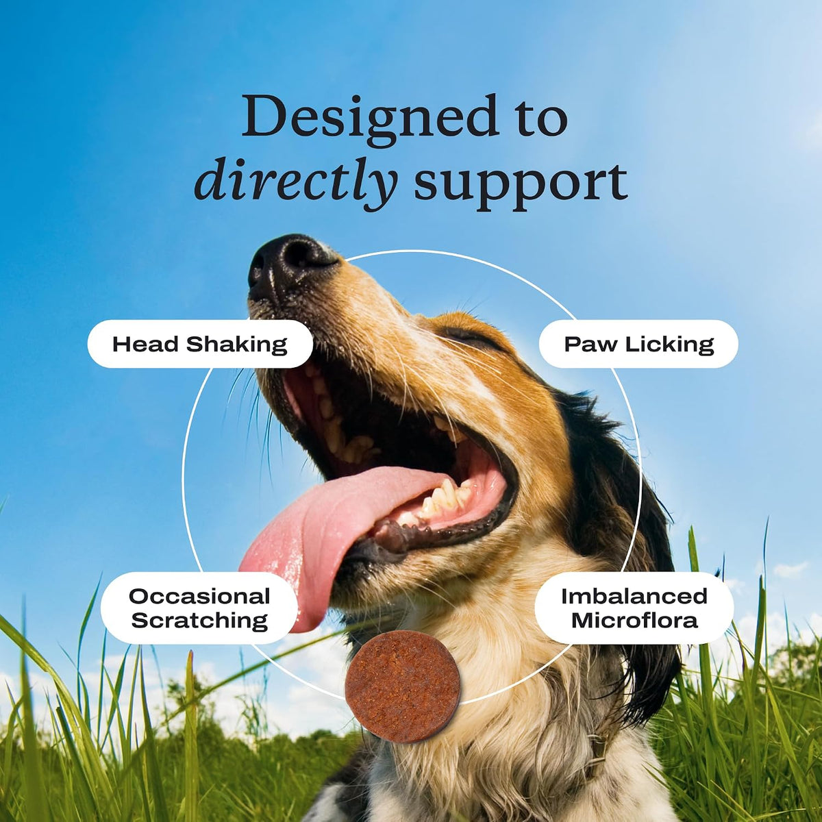 PetLab Co. Allergy & Immune Probiotic Chews, Pork, 30 Count