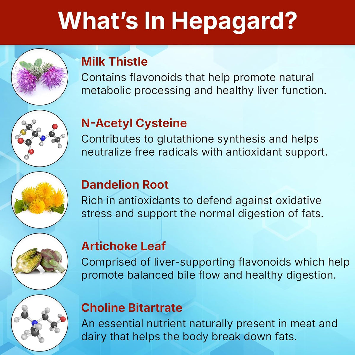 Hepagard Liver Support with NAC – 30 Capsules