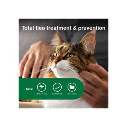 Advantage II Large Cat Flea Treatment – 4-Month Supply