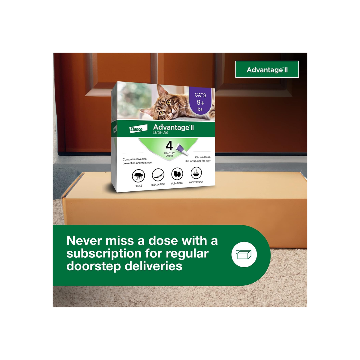 Advantage II Large Cat Flea Treatment – 4-Month Supply